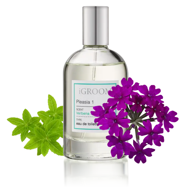 Hovedbilde Pleasia-1 Perfume 100ml, iGROOM