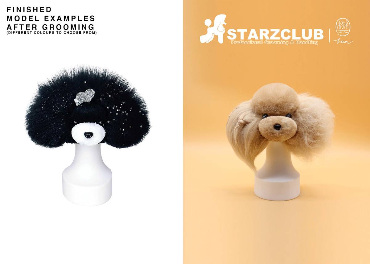 XXX Starzclub - White Coat for Model Dog Head