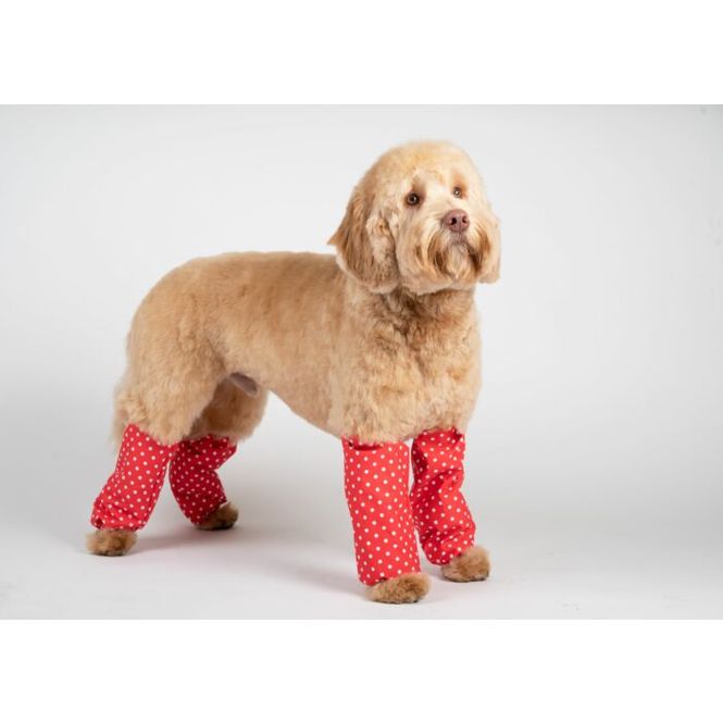 Hovedbilde Leggings Polka Dots for Middle-Sized Poodle, ...