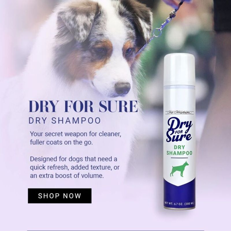 Dry For Sure Spray 200ml, Chris Christensen