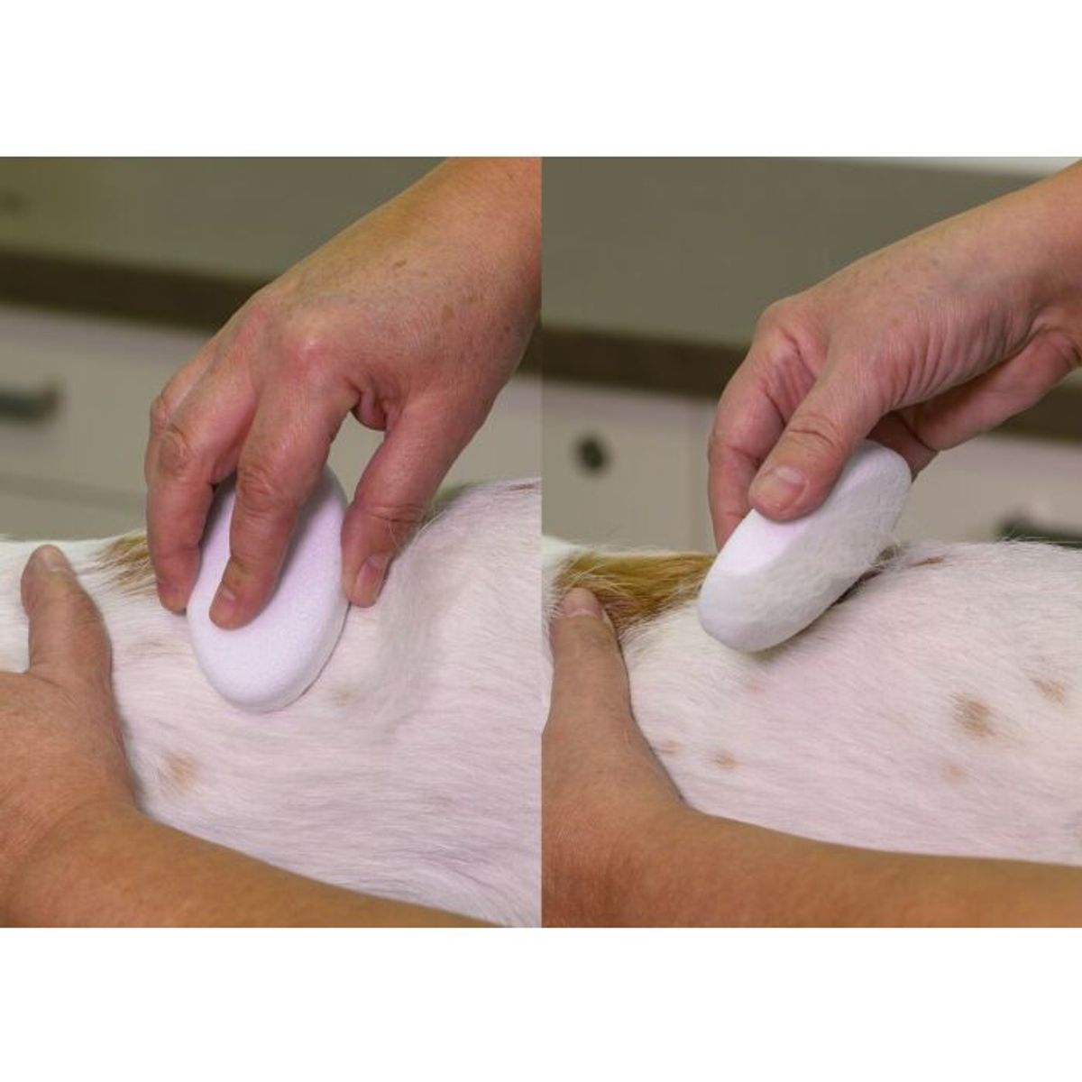Groom Stone Oval White, Show Tech