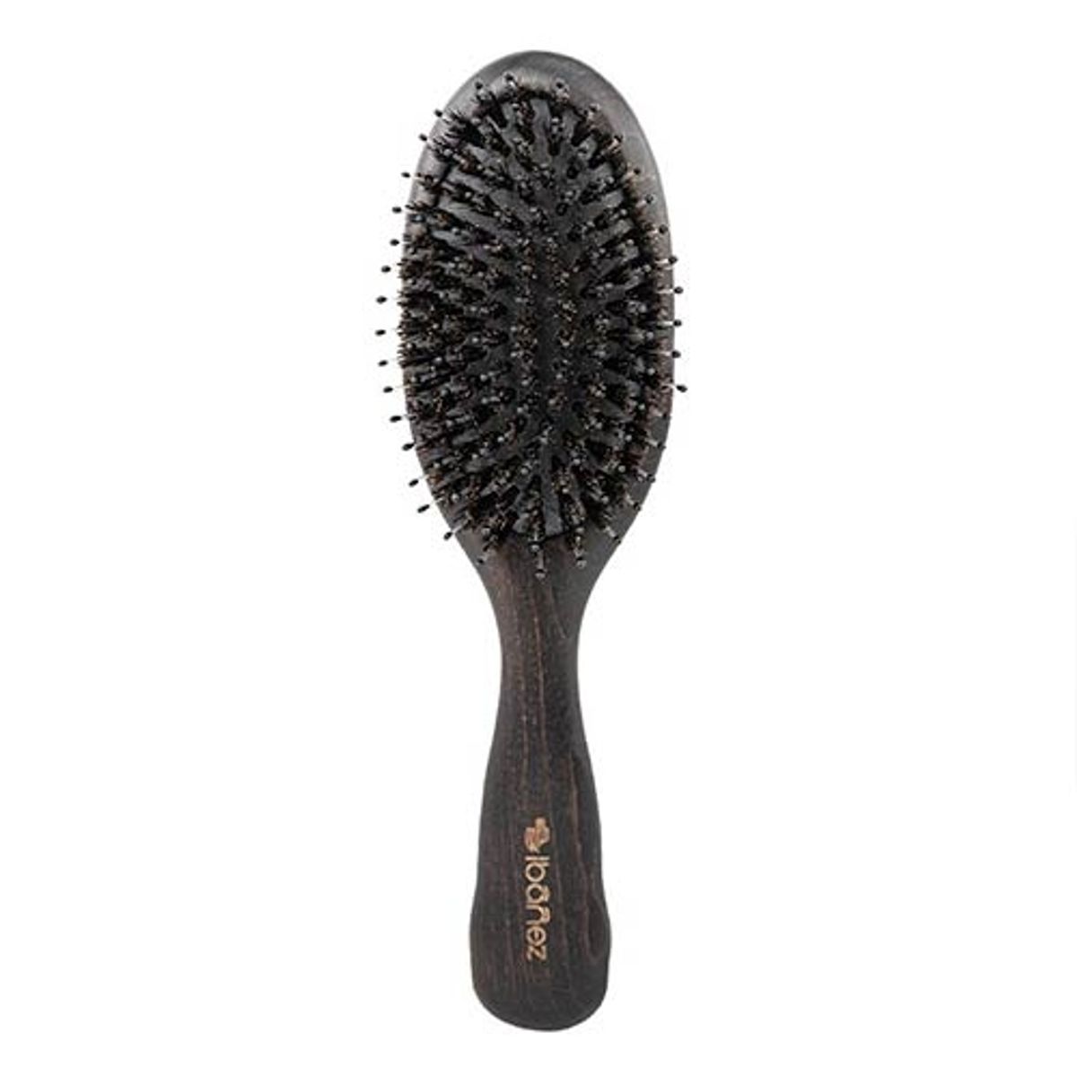 Bristles and Nylon Brush, Ibanez