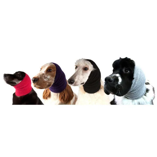 Hovedbilde Ear Buddy Pro Pack, ShowTech