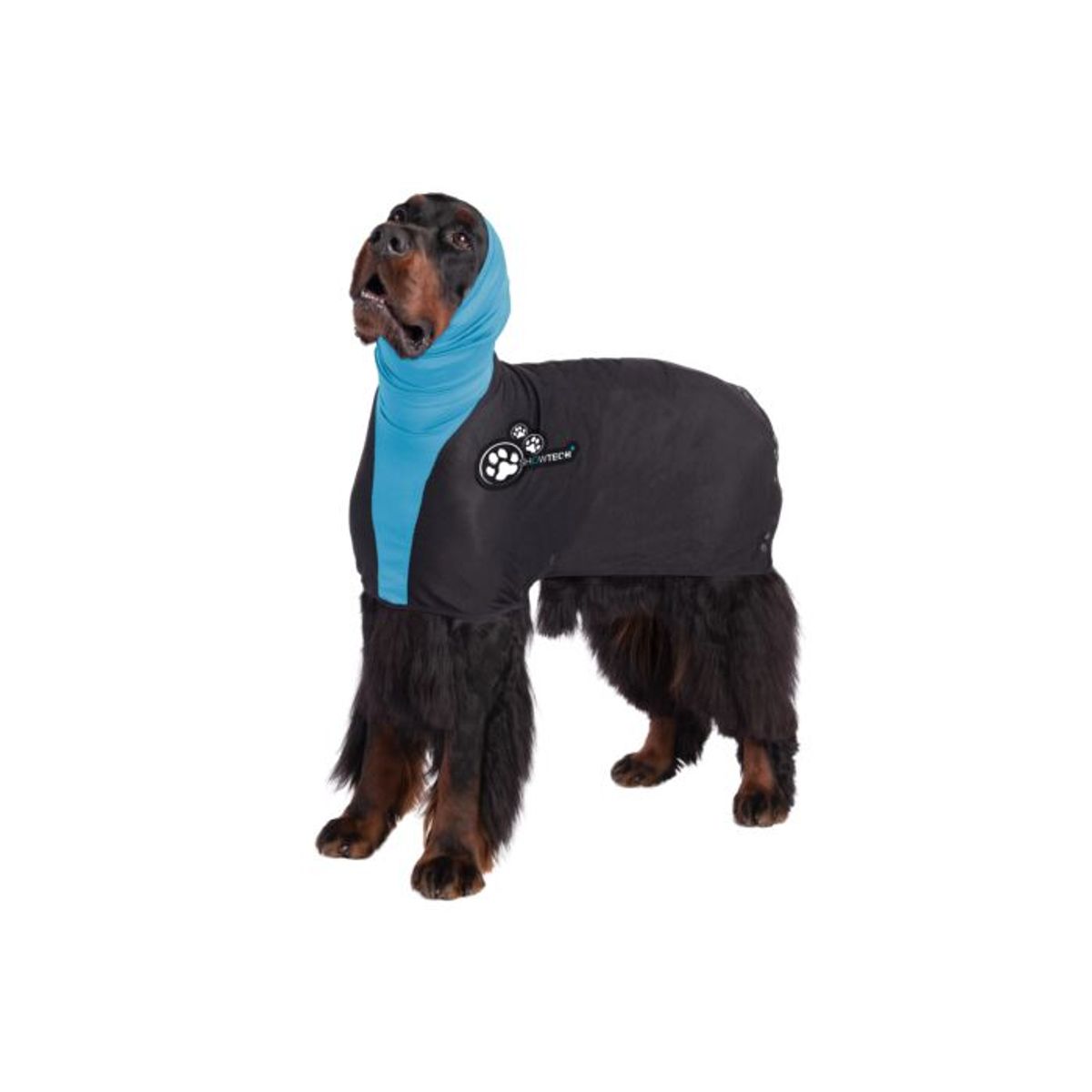 Mesh Straightening Coat for Large Springer Spaniels et Border Co