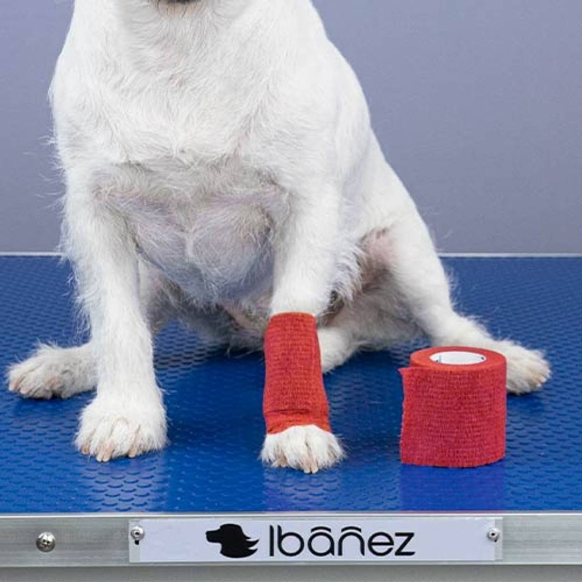 Cohesive Bandage, Ibanez